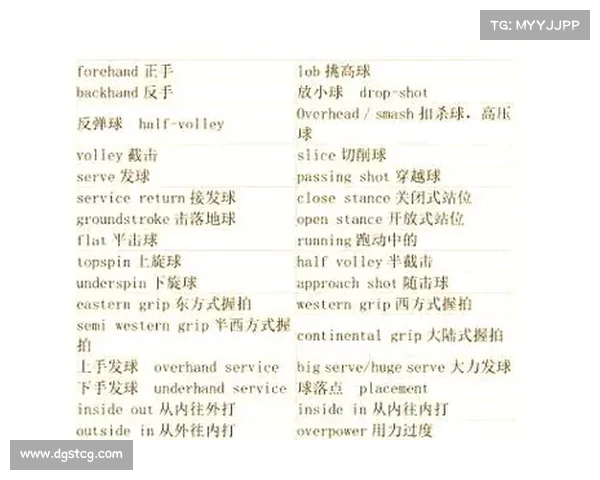 网球比赛规则全解析：从发球到计分，了解比赛中的每一项细则